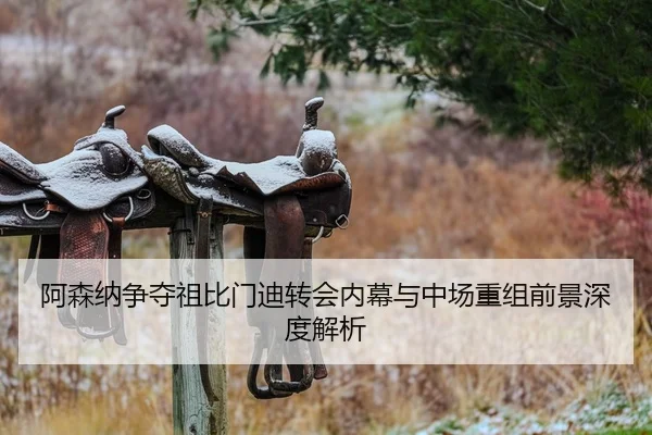 阿森纳争夺祖比门迪转会内幕与中场重组前景深度解析